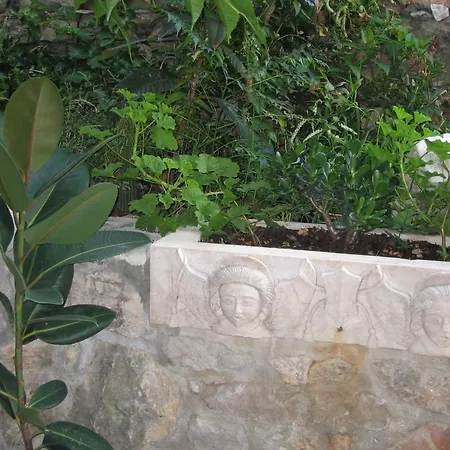 Appartement Domus Marini *